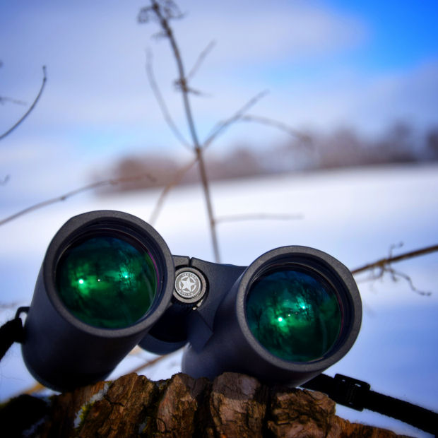 binocular 2.png