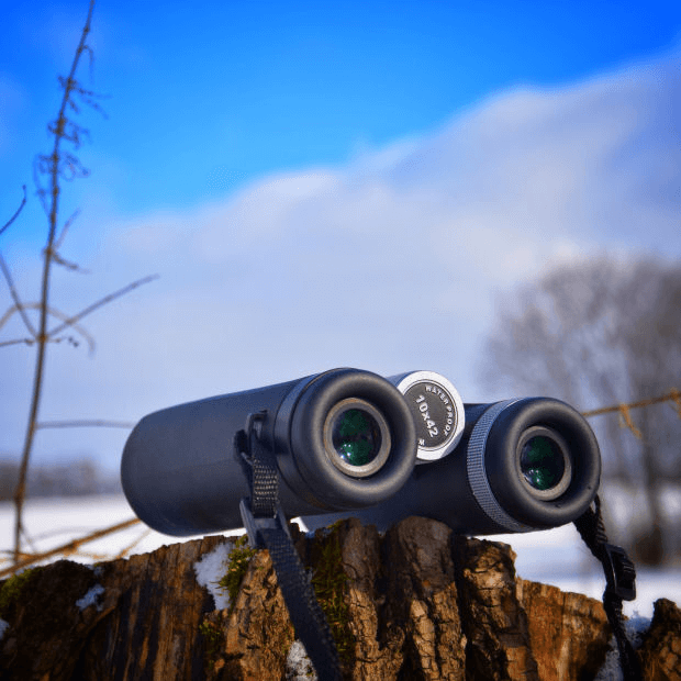 10x42 binocular 3.png